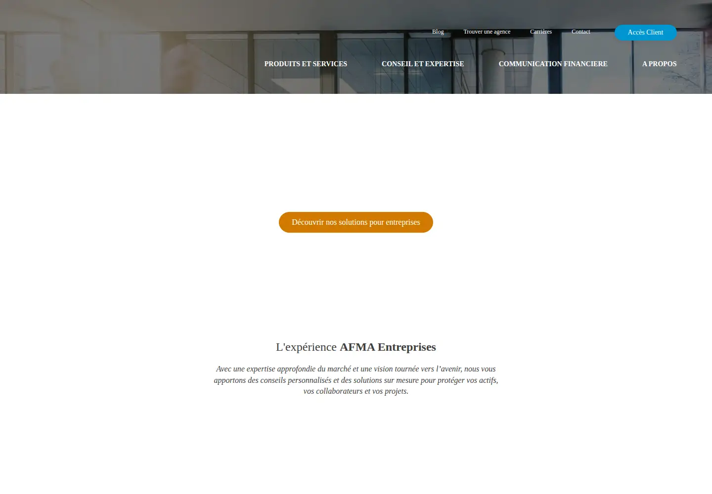 Screenshot of afma.ma