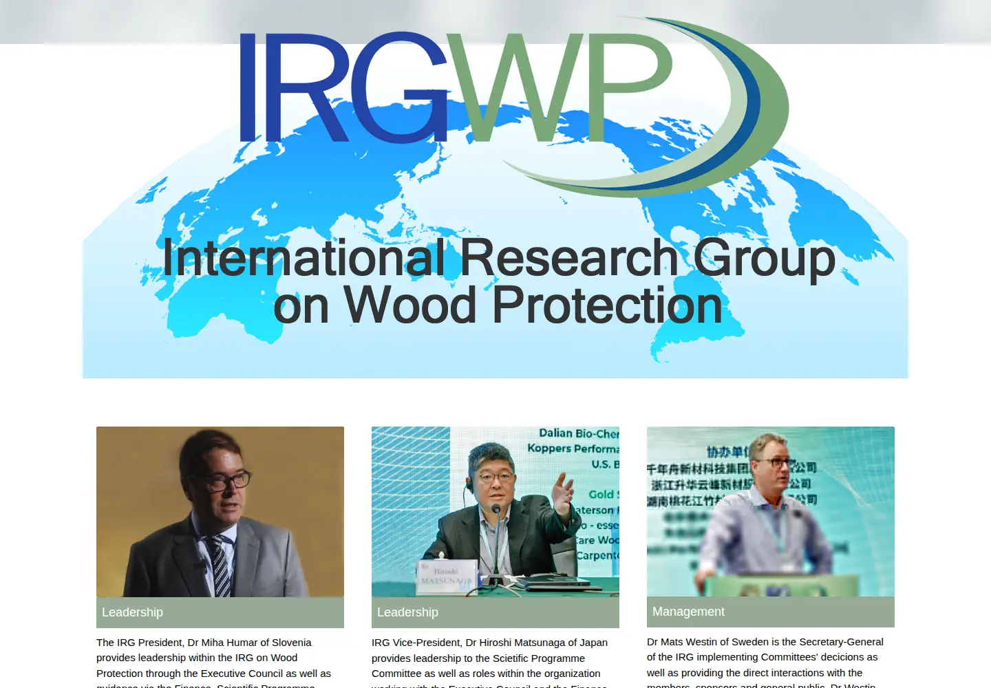 Screenshot of irg-wp.com