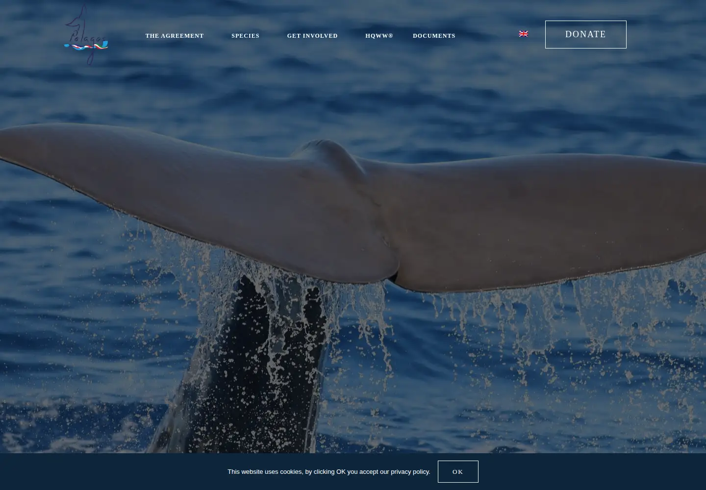 Screenshot of sanctuaire-pelagos.org