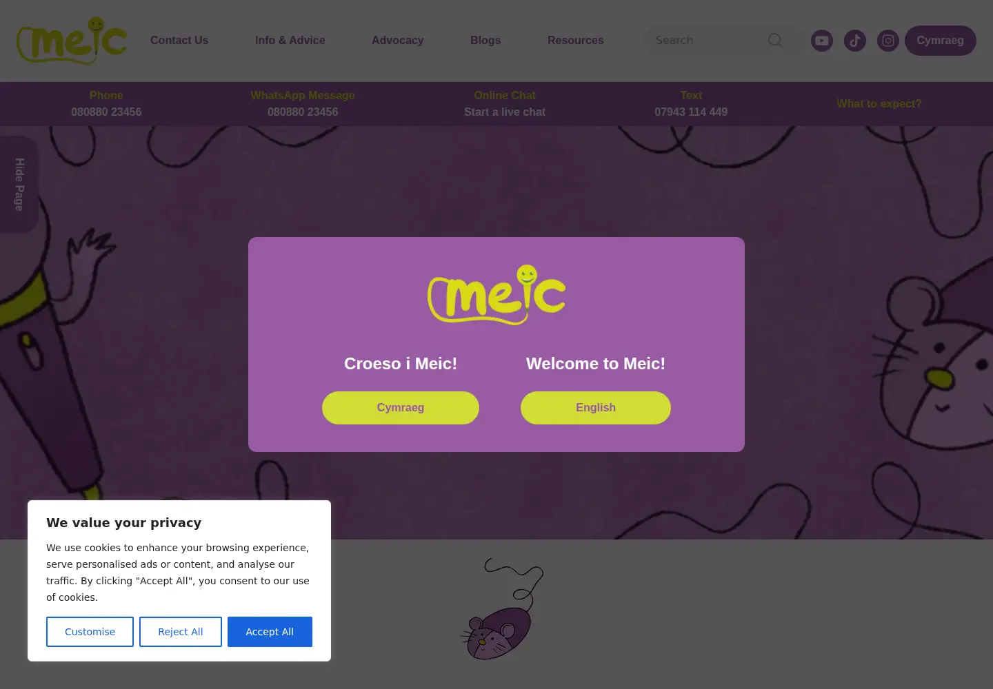 Screenshot of meiccymru.org