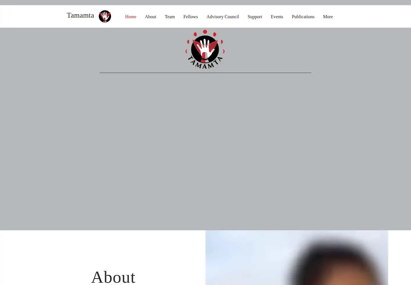 Screenshot of tamamta.org