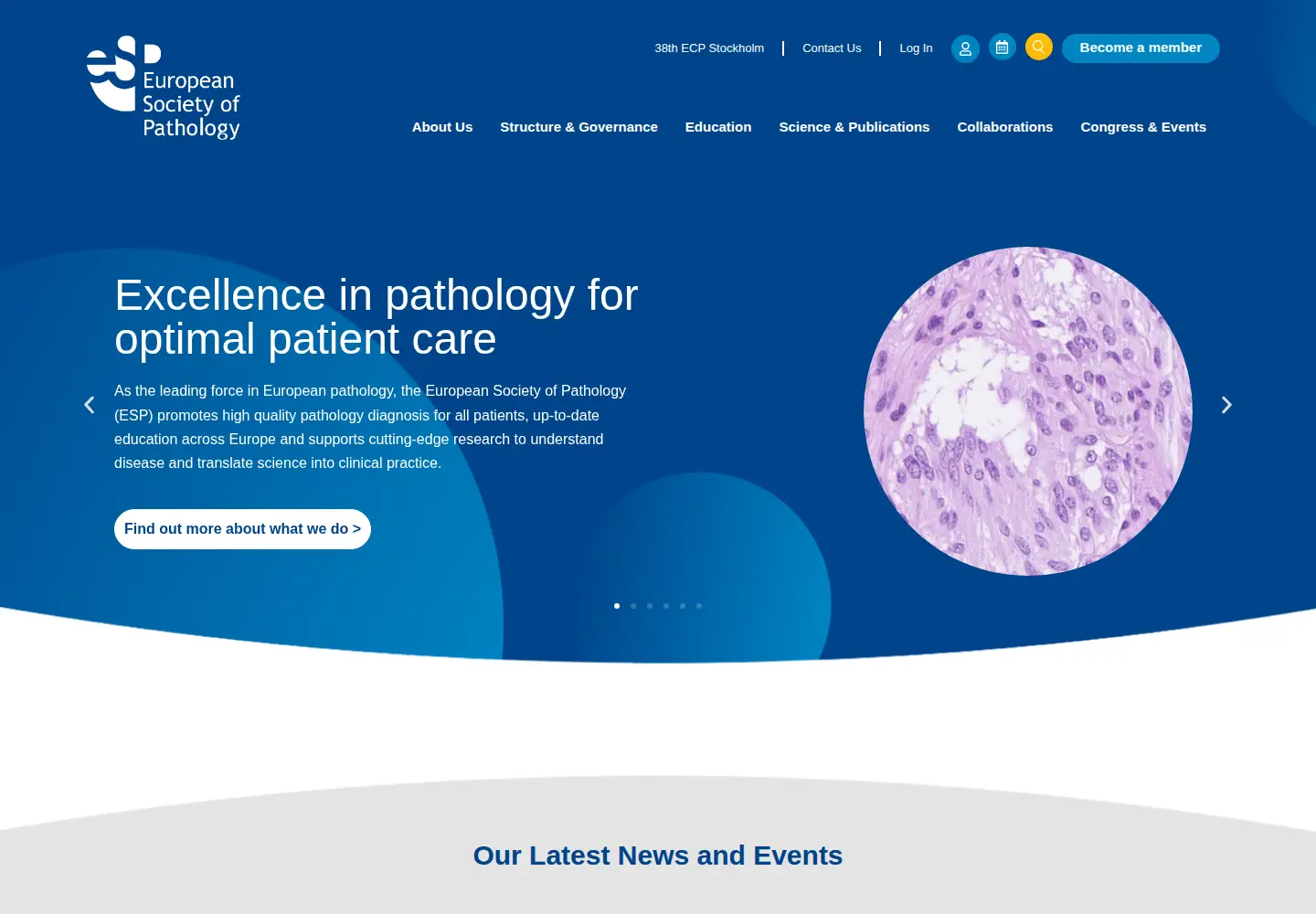 Screenshot of esp-pathology.org