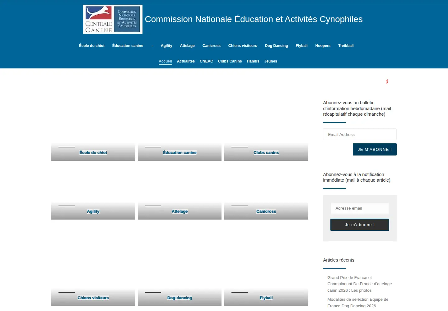 Captured homepage of activites-canines.com in the current scan