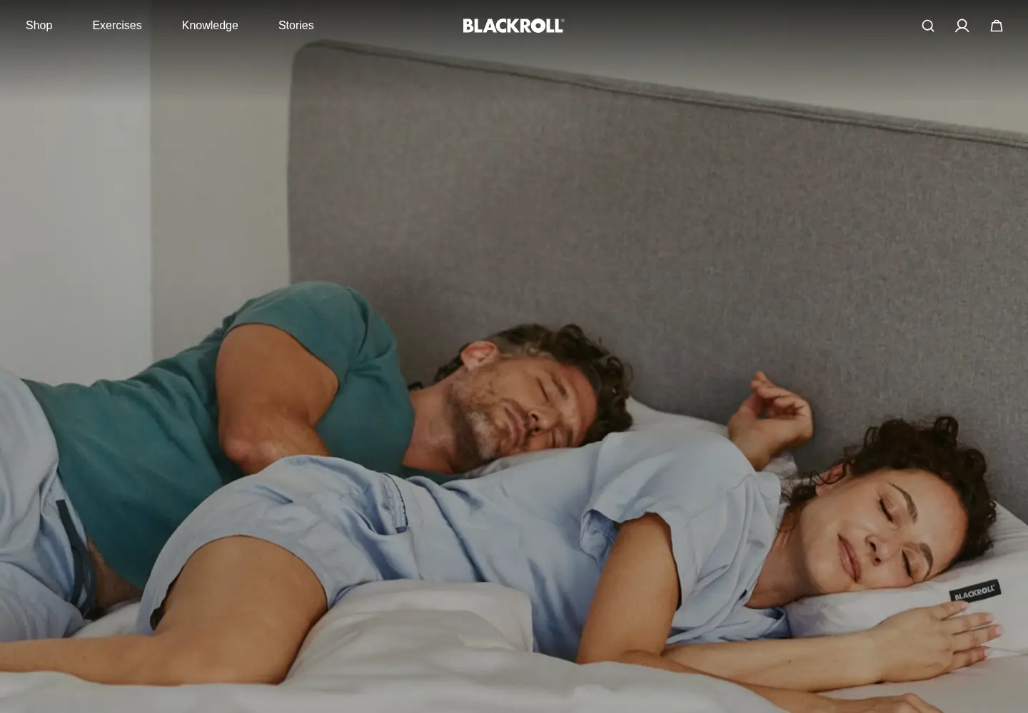 Captured homepage of blackroll.com in the current scan