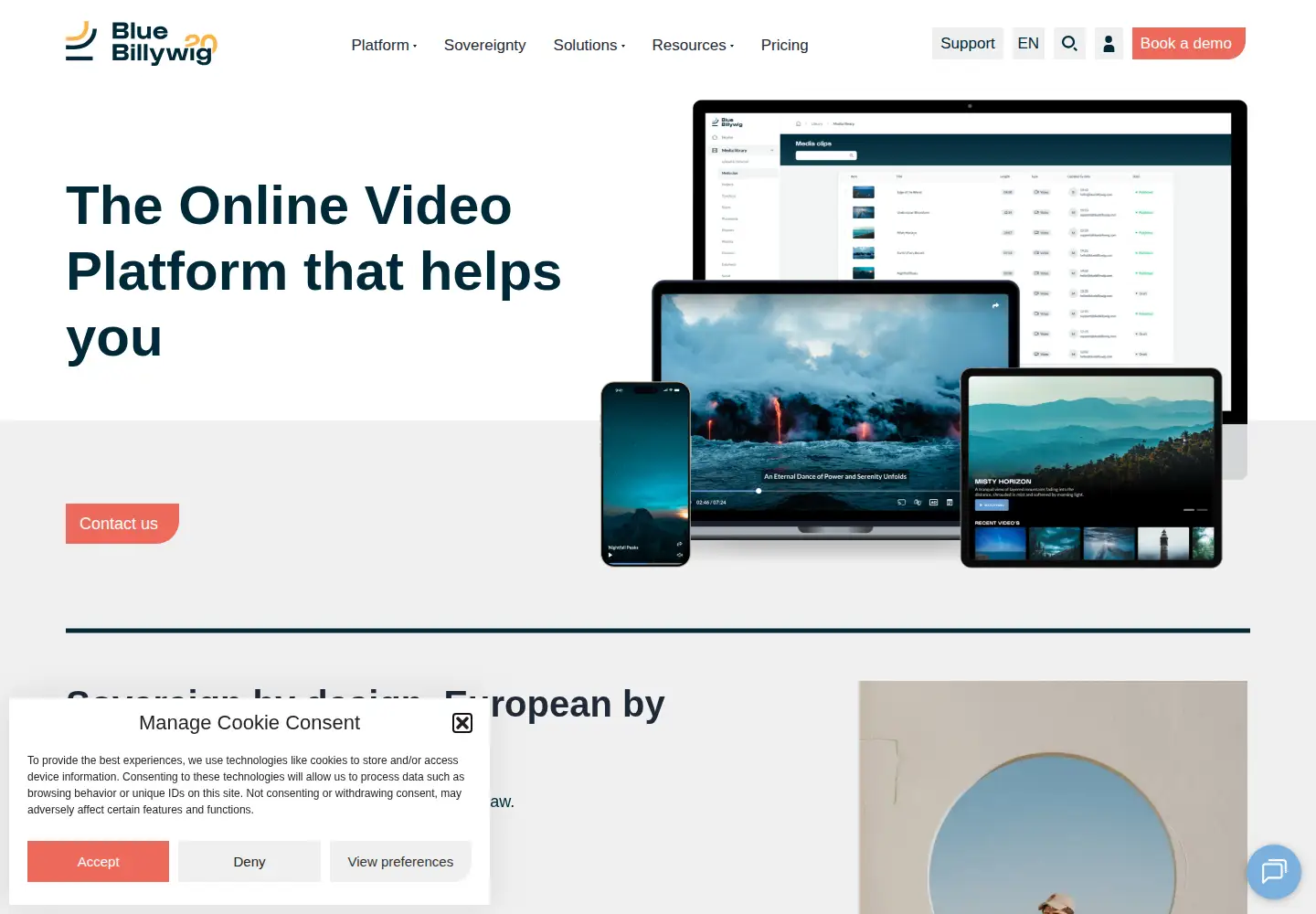 Screenshot of bluebillywig.com