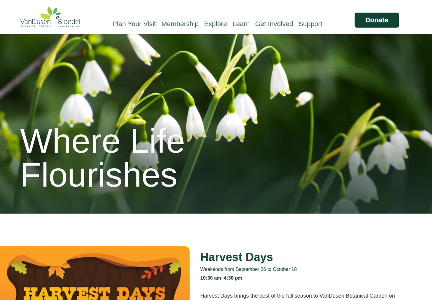 Screenshot of vandusengarden.org