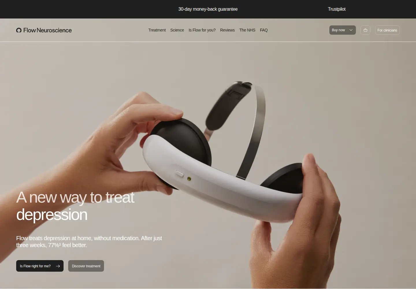 Screenshot of flowneuroscience.com