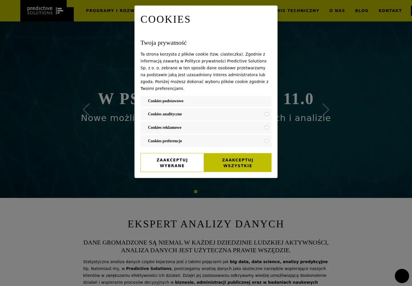 Screenshot of predictivesolutions.pl