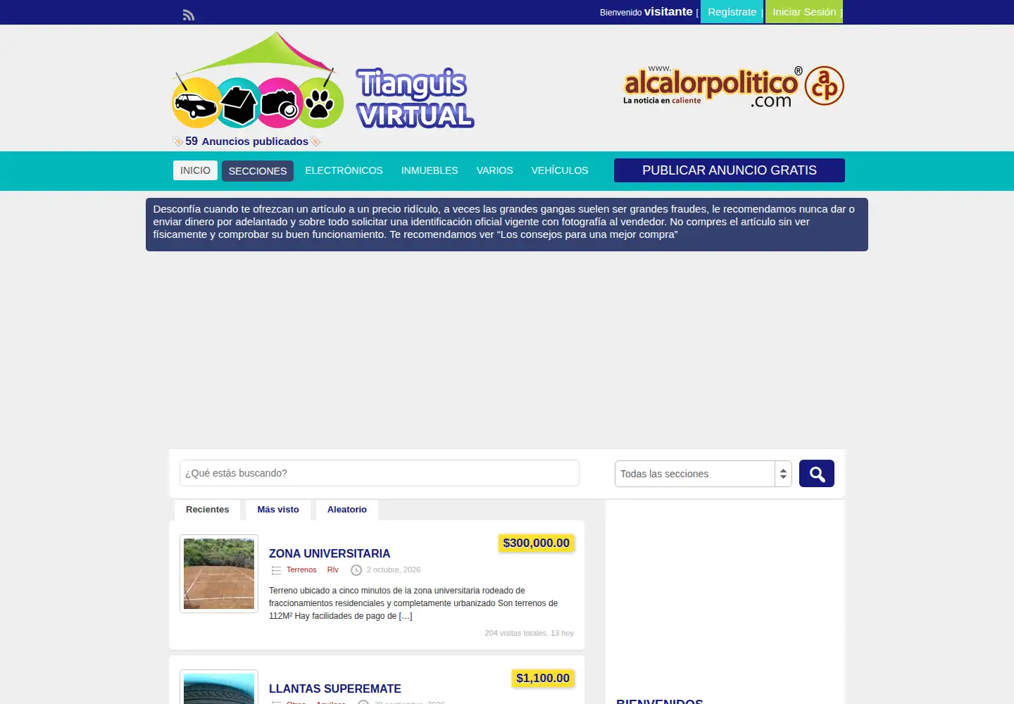 Captured homepage of eltianguisvirtual.net in the current scan
