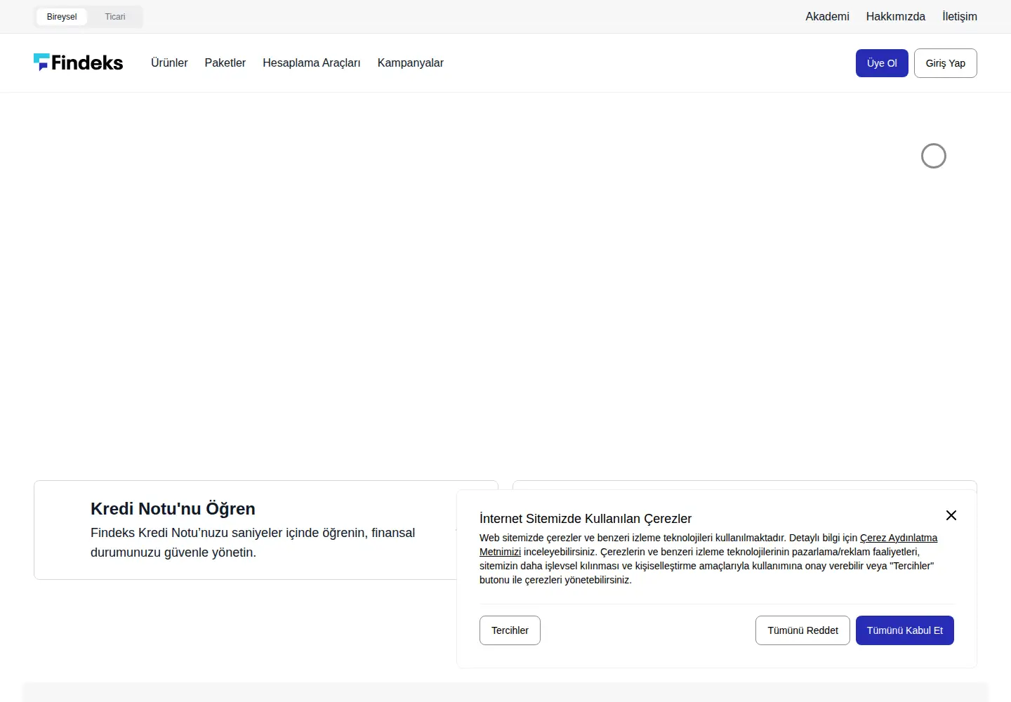 Screenshot of findeks.com