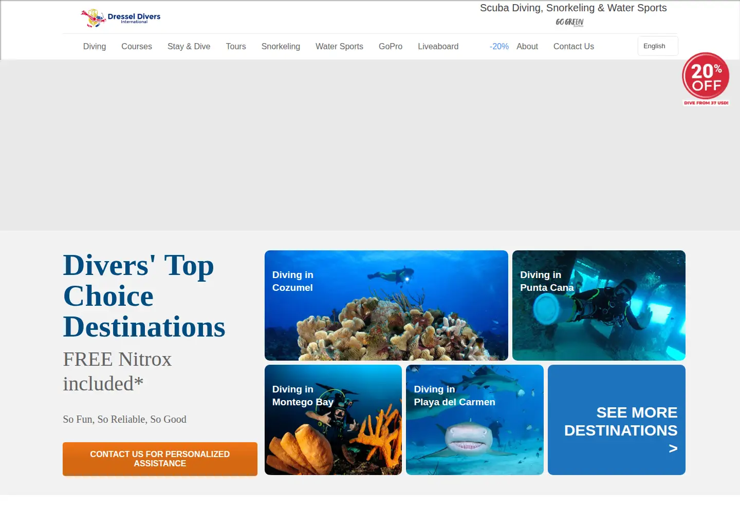 Screenshot of dresseldivers.com