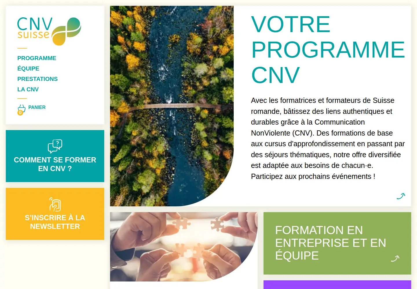 Screenshot of cnvsuisse.ch