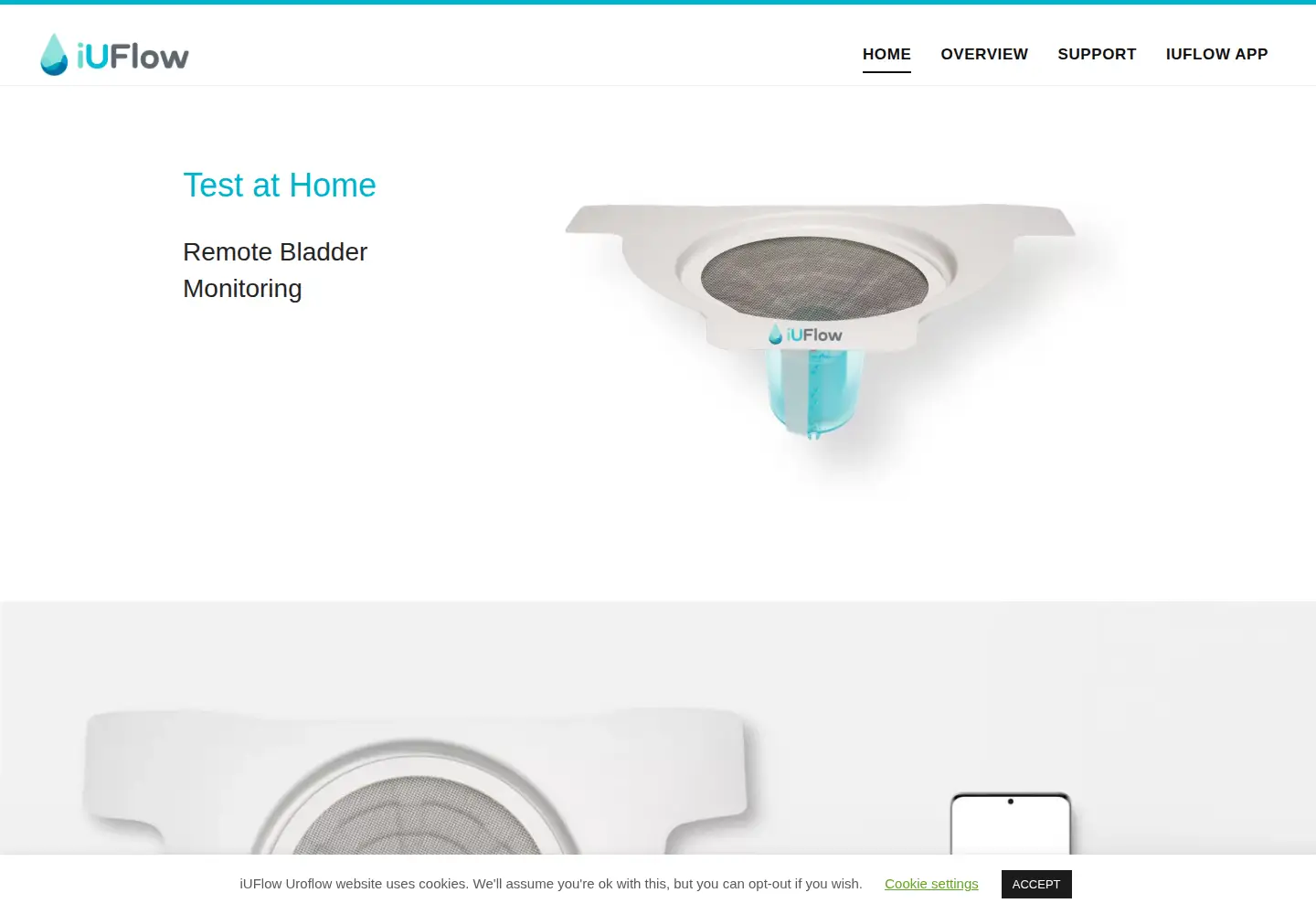 Captured homepage of iuflow.com in the current scan