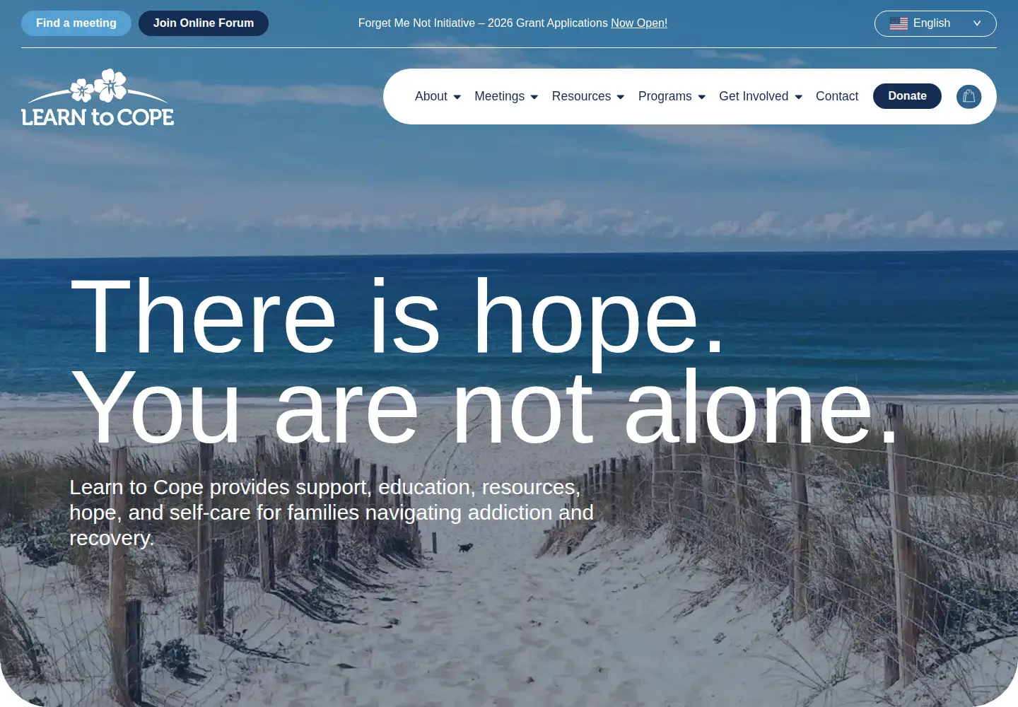 Screenshot of learn2cope.org