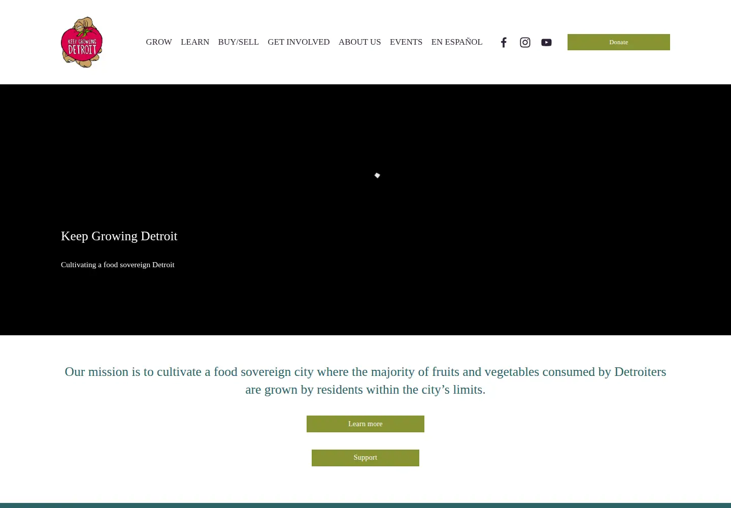 Captured homepage of detroitagriculture.net in the current scan