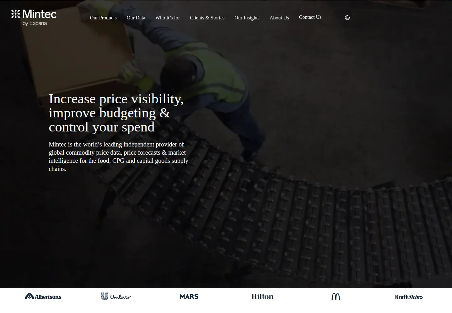 Screenshot of mintecglobal.com