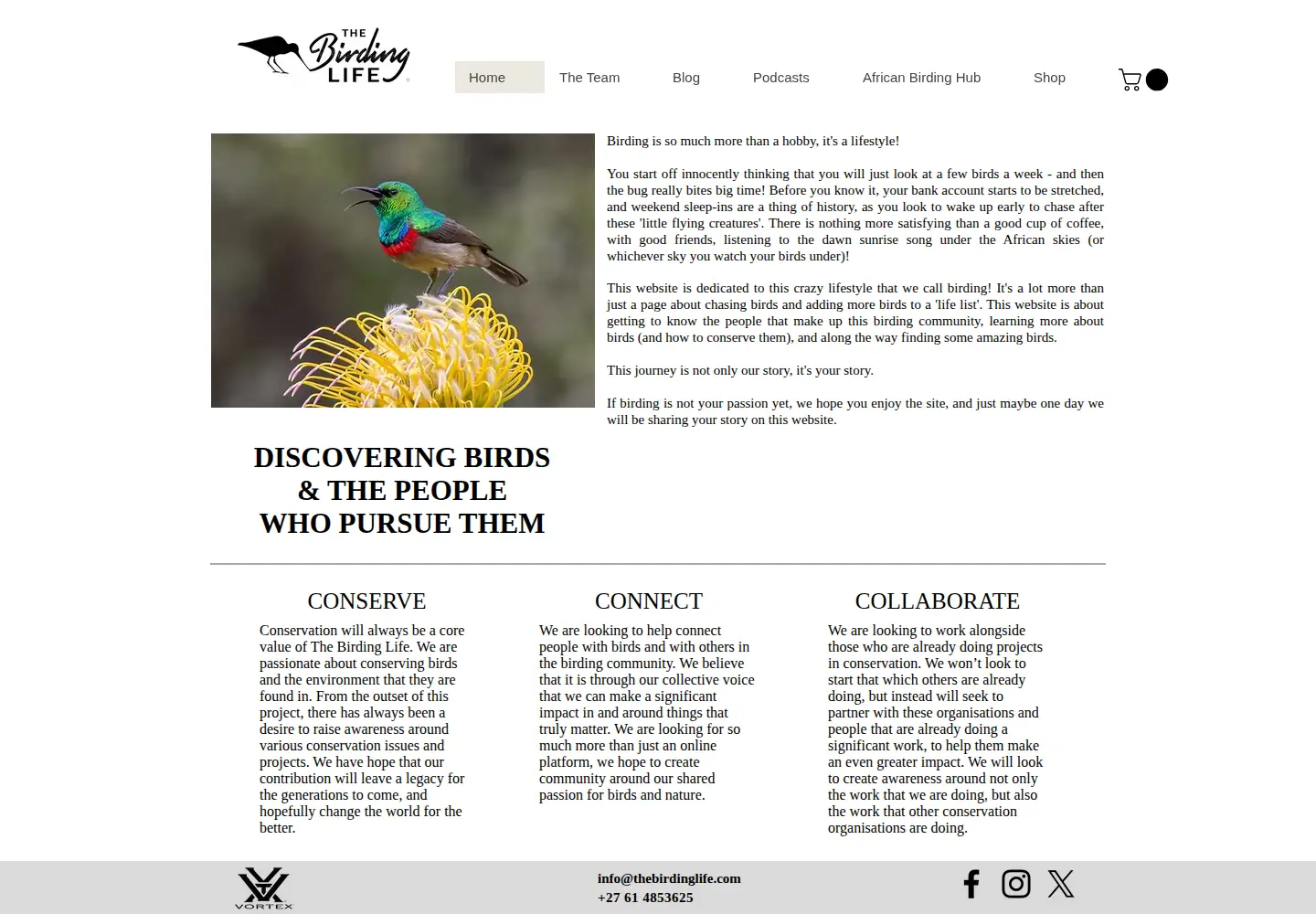 Captured homepage of thebirdinglife.com in the current scan