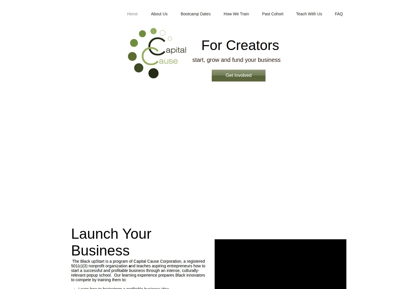 Screenshot of theblackupstart.com
