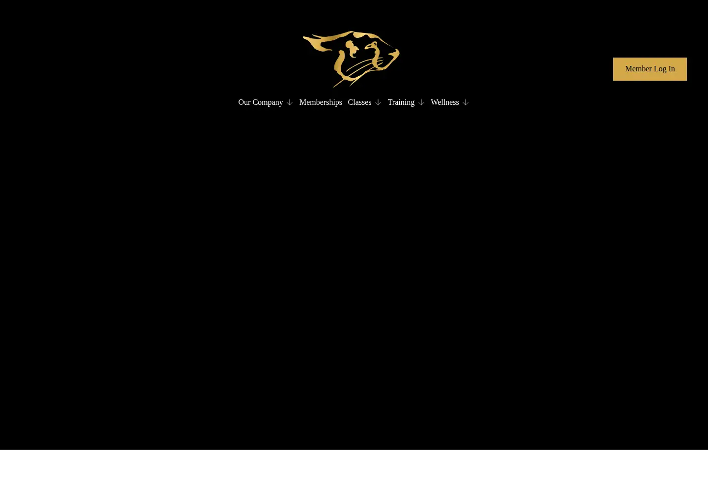 Screenshot of cheetahgym.com