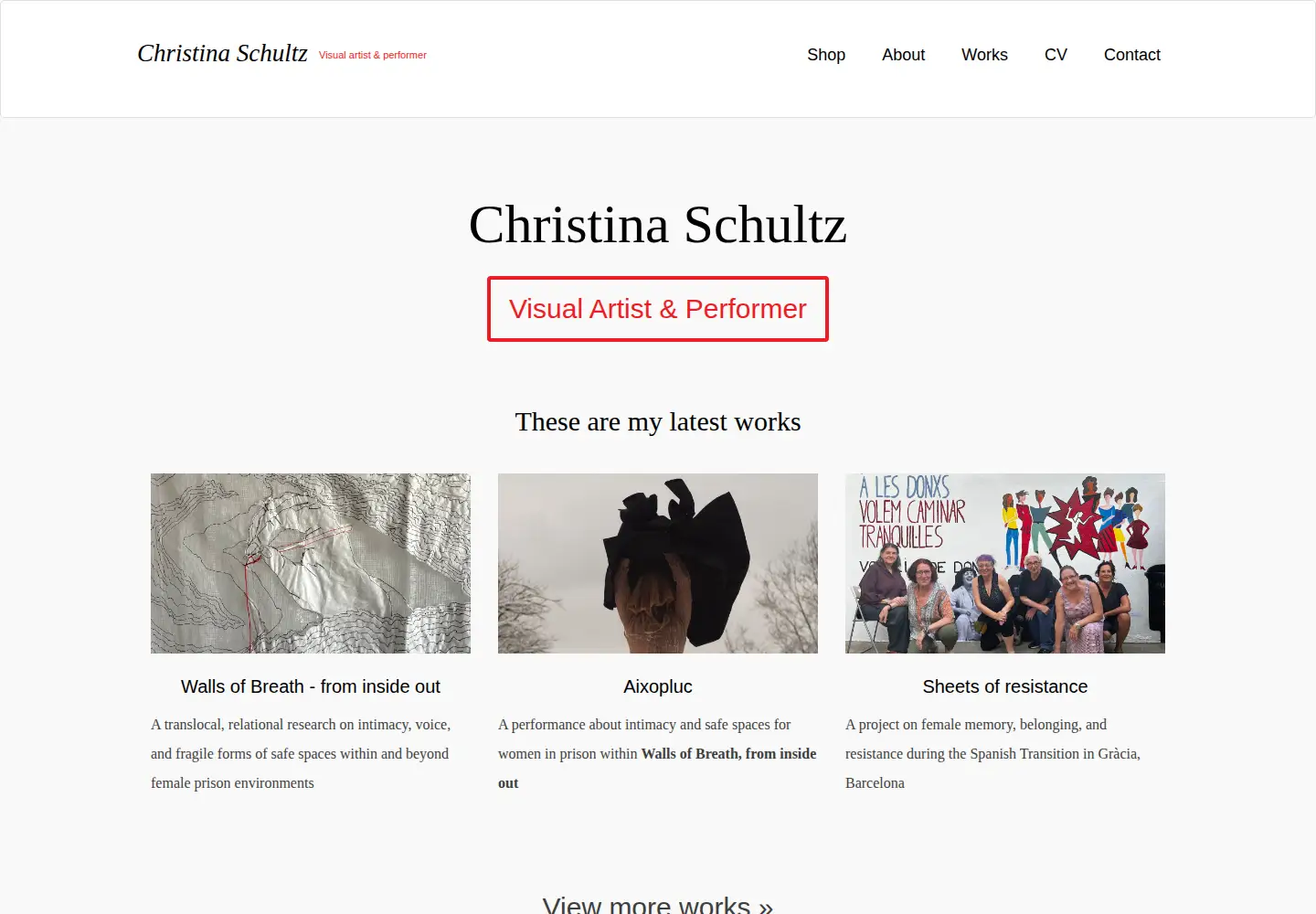 Captured homepage of christinaschultz.com in the current scan