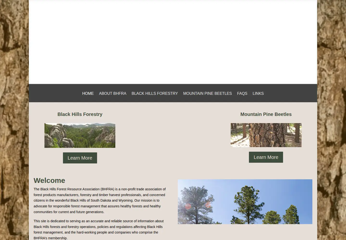 Captured homepage of bhfra.org in the current scan