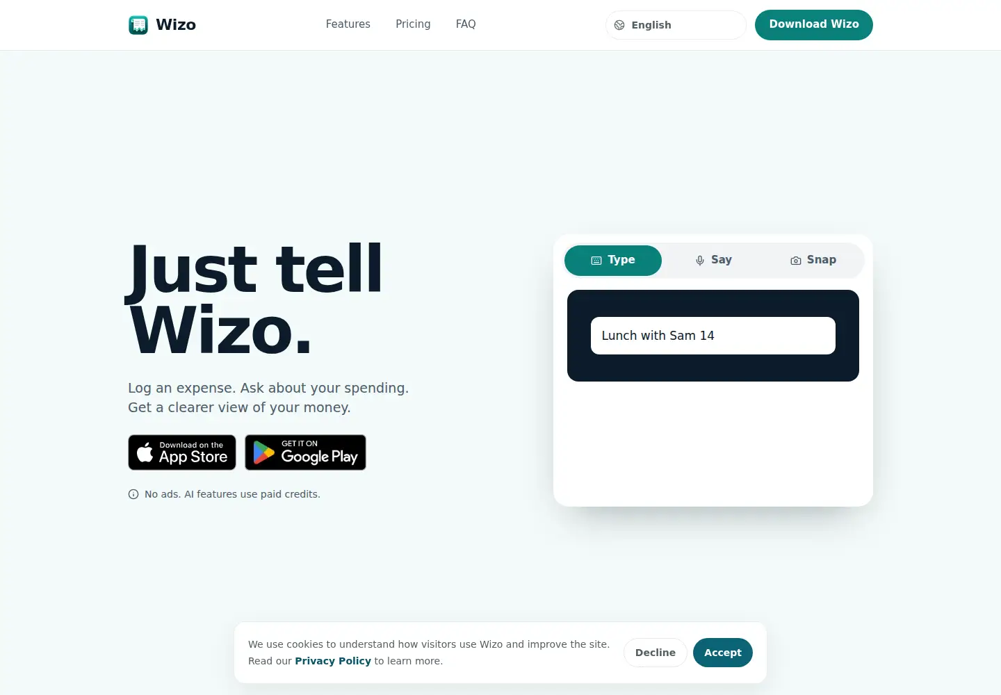Screenshot of wizomoney.com