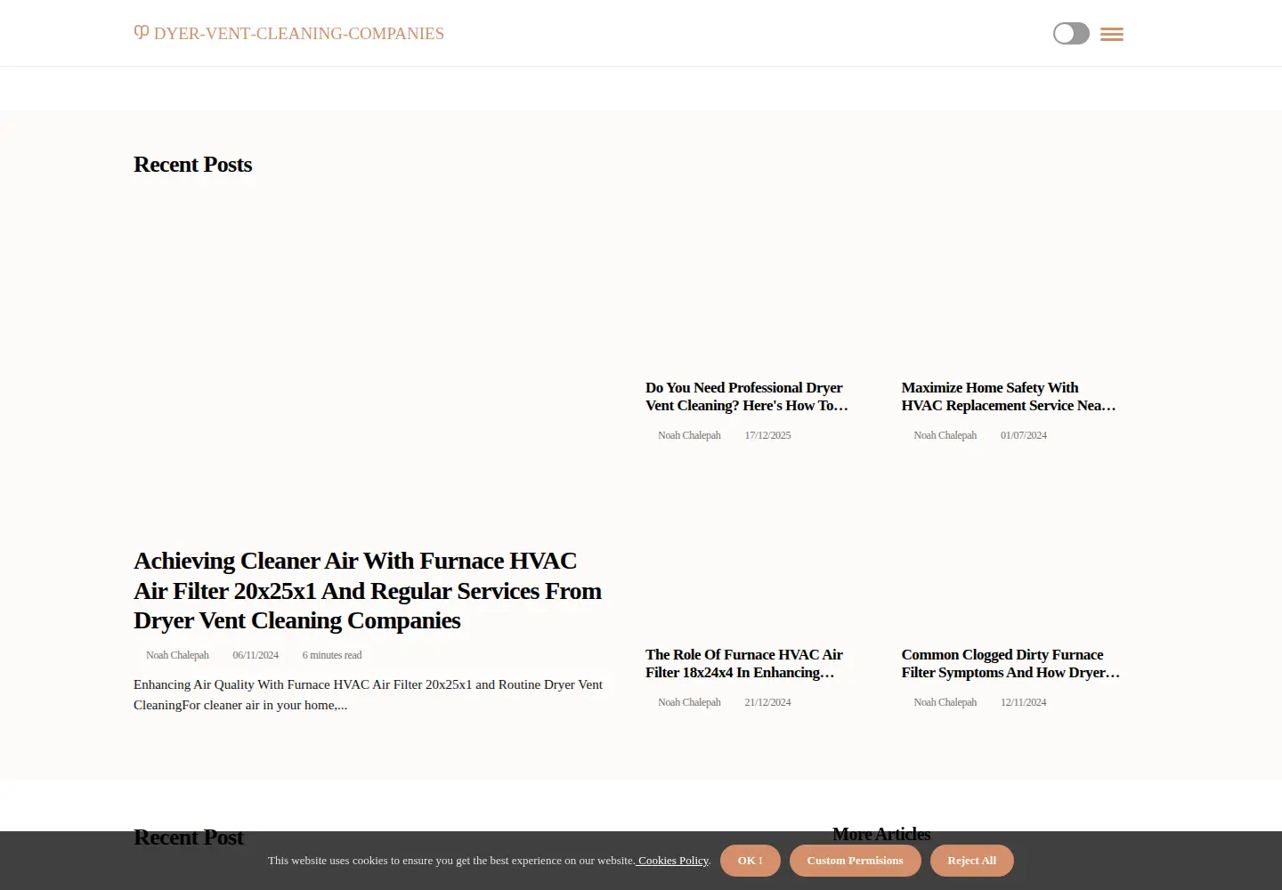 Screenshot of dyer-vent-cleaning-companies.com