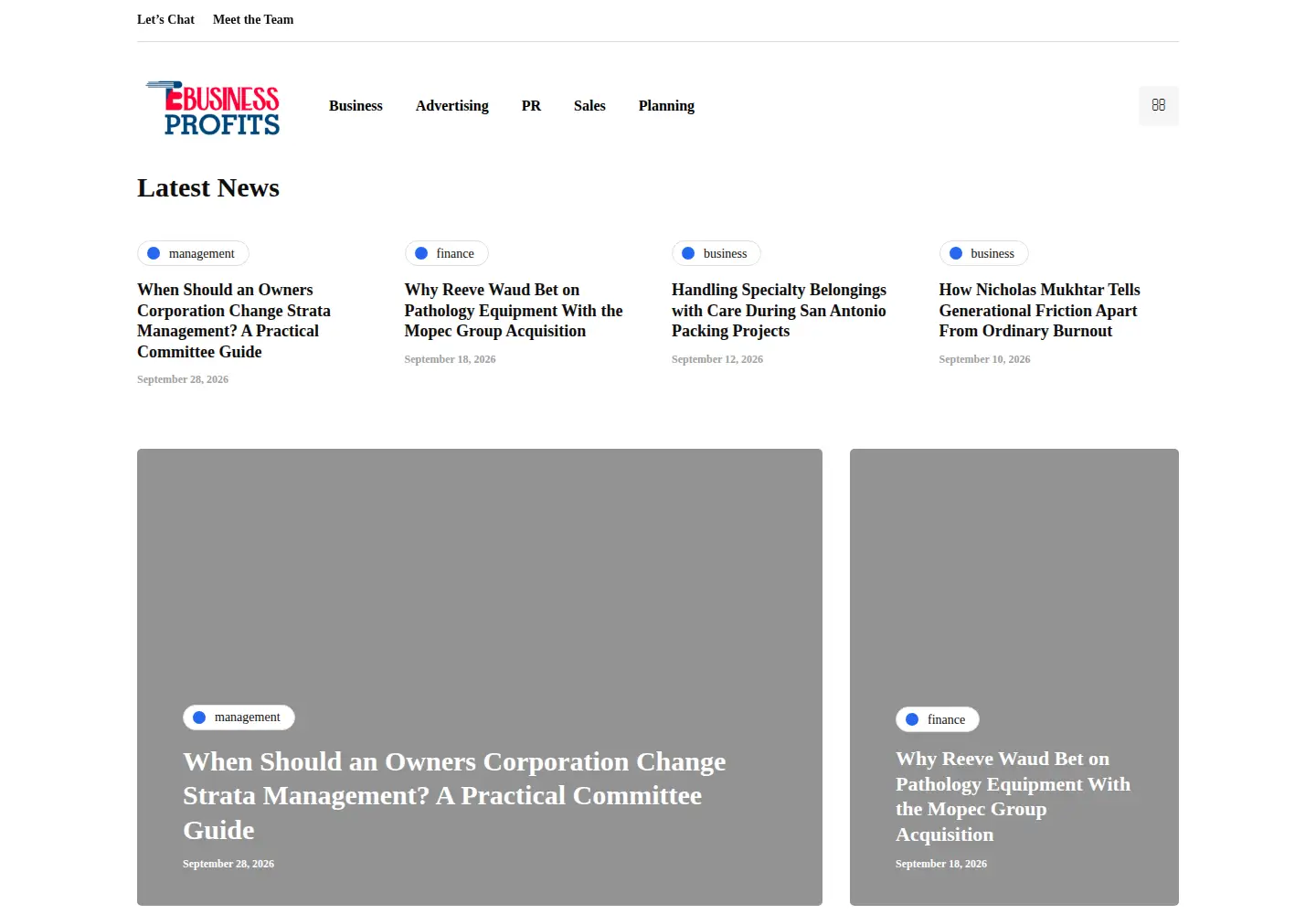 Screenshot of ebusinessprofits.com