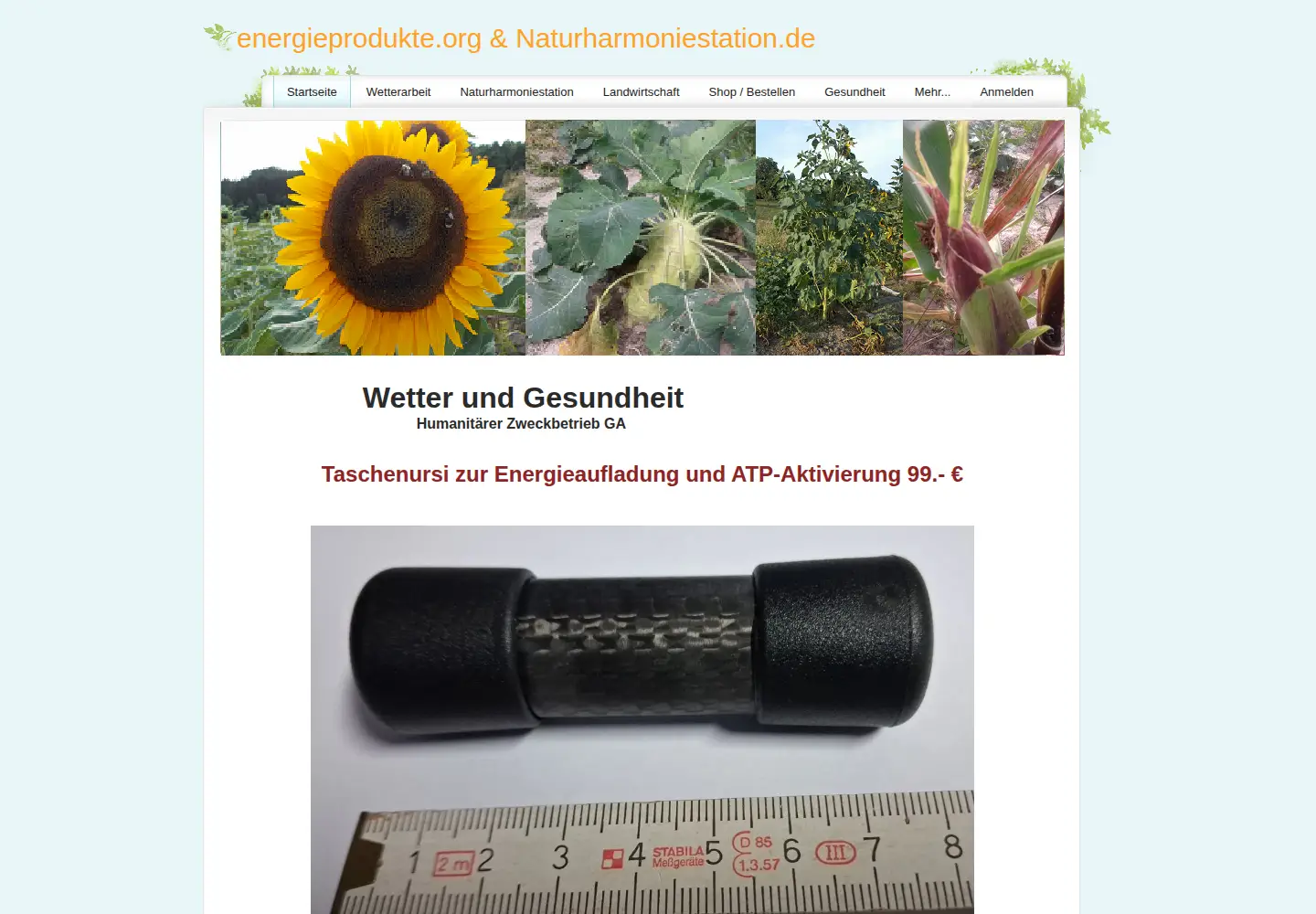 Screenshot of energieprodukte.org