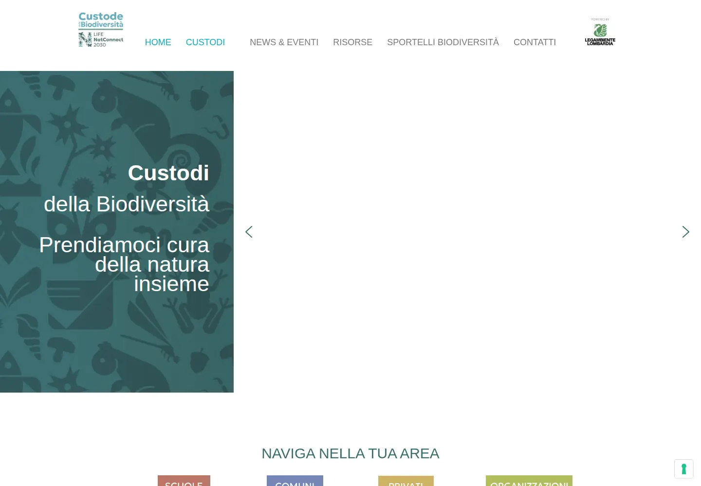 Captured homepage of custodialifenatconnect2030.it in the current scan