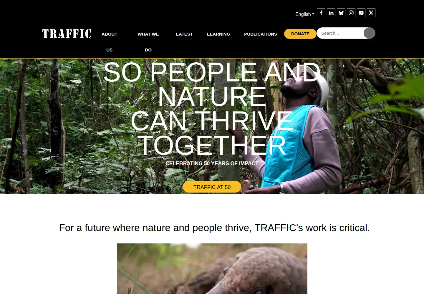 Screenshot of traffic.org