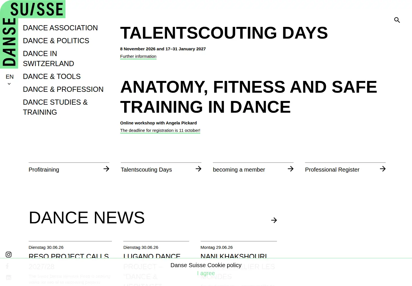 Screenshot of dansesuisse.ch