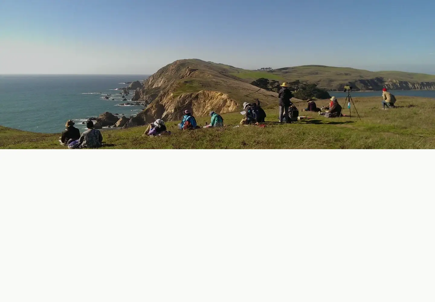 Screenshot of wildwonder.org