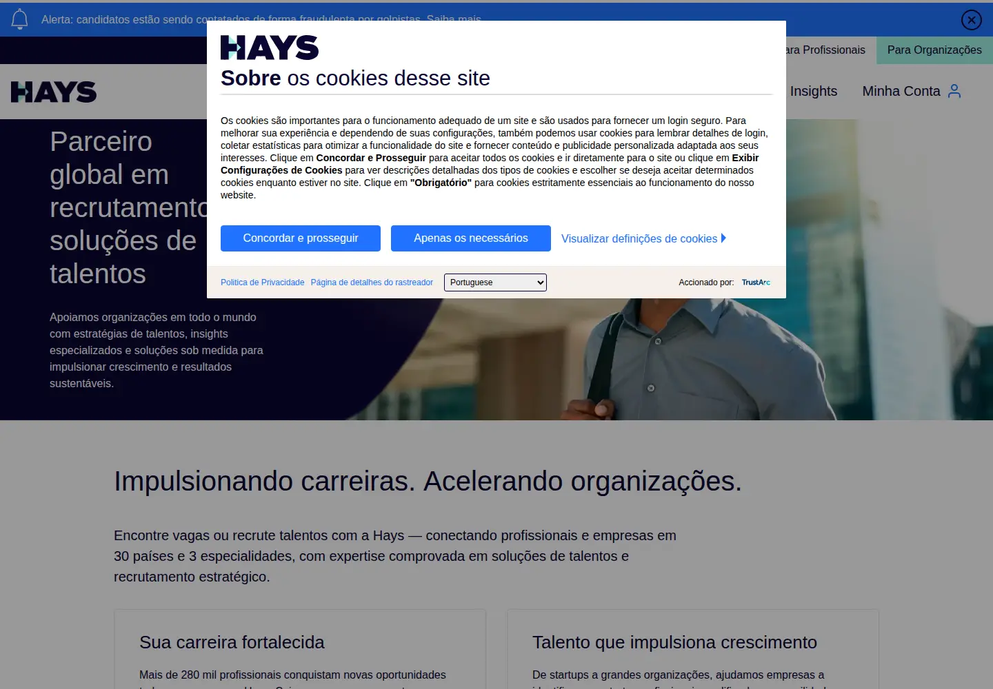 Screenshot of hays.com.br