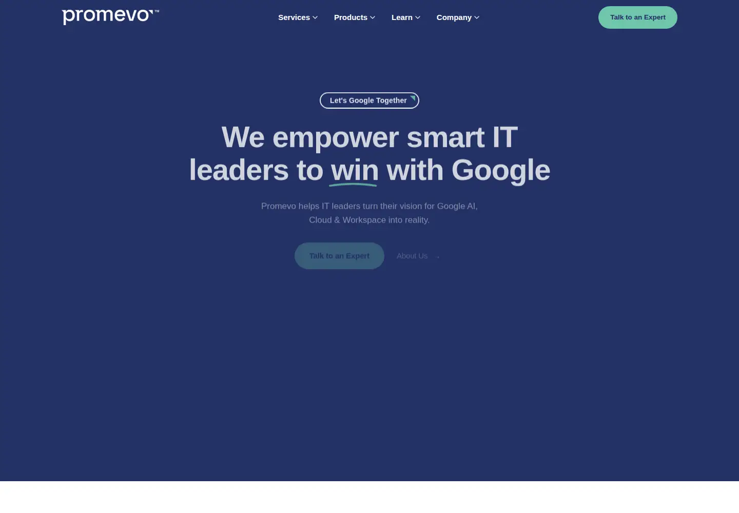 Captured homepage of promevo.com in the current scan