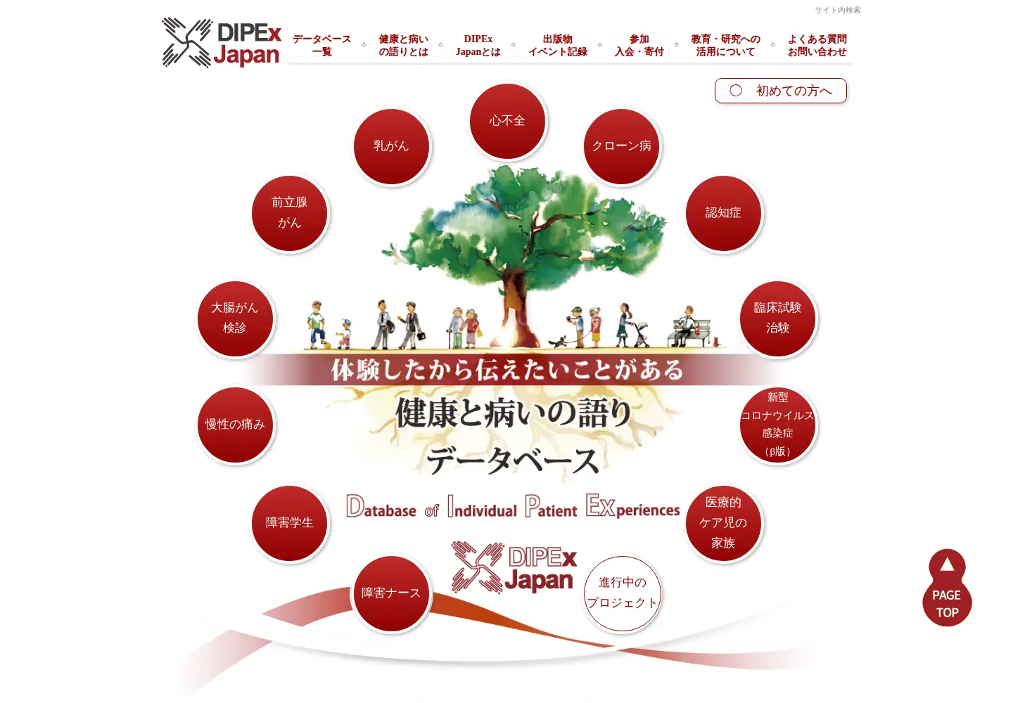 Screenshot of dipex-j.org