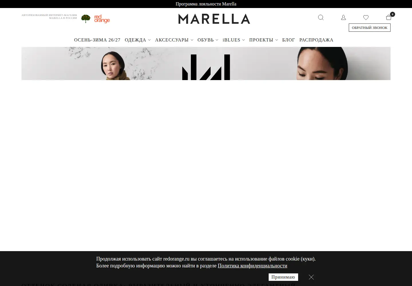 Captured homepage of redorange.ru in the current scan