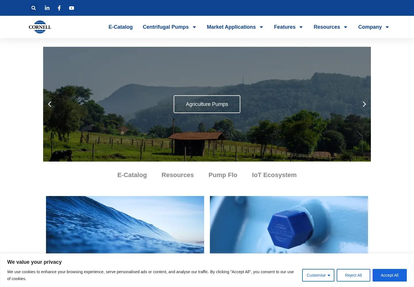 Screenshot of cornellpump.com