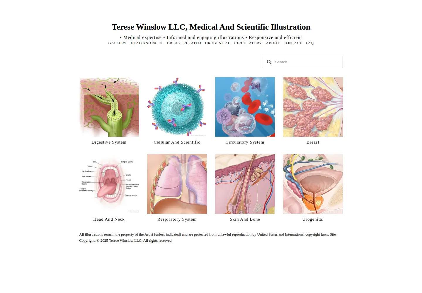 Screenshot of teresewinslow.com