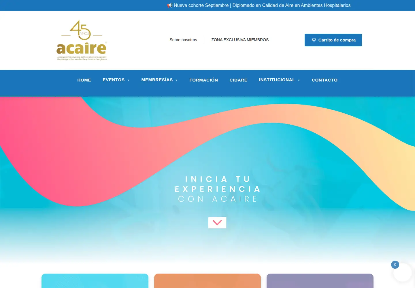 Captured homepage of acaire.org in the current scan