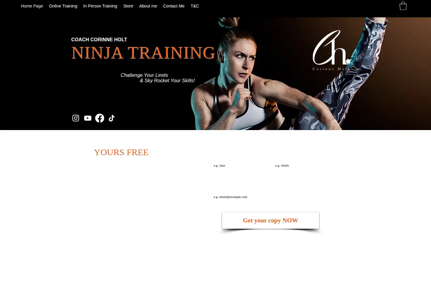 Screenshot of corinneholt.com