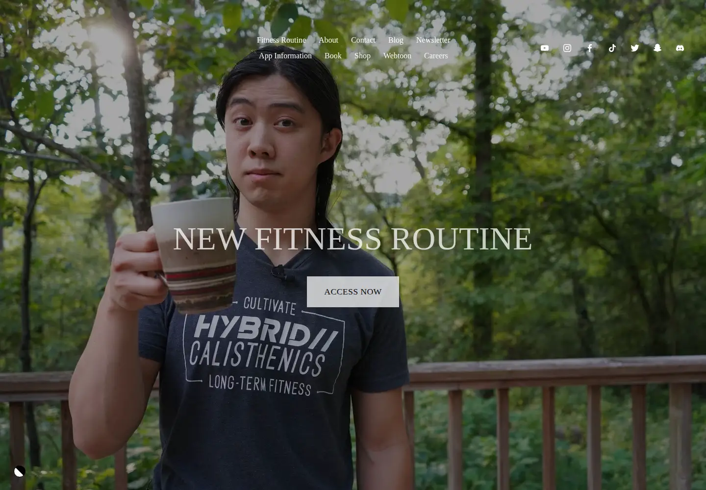 Screenshot of hybridcalisthenics.com