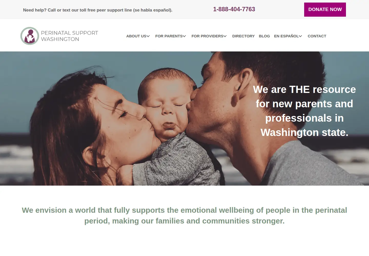 Screenshot of perinatalsupport.org