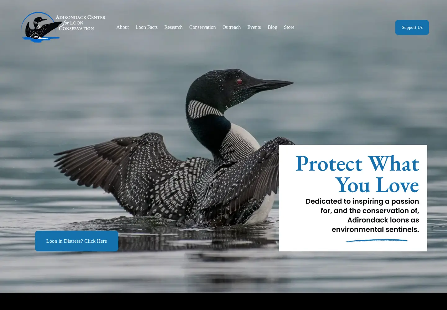 Screenshot of adkloon.org