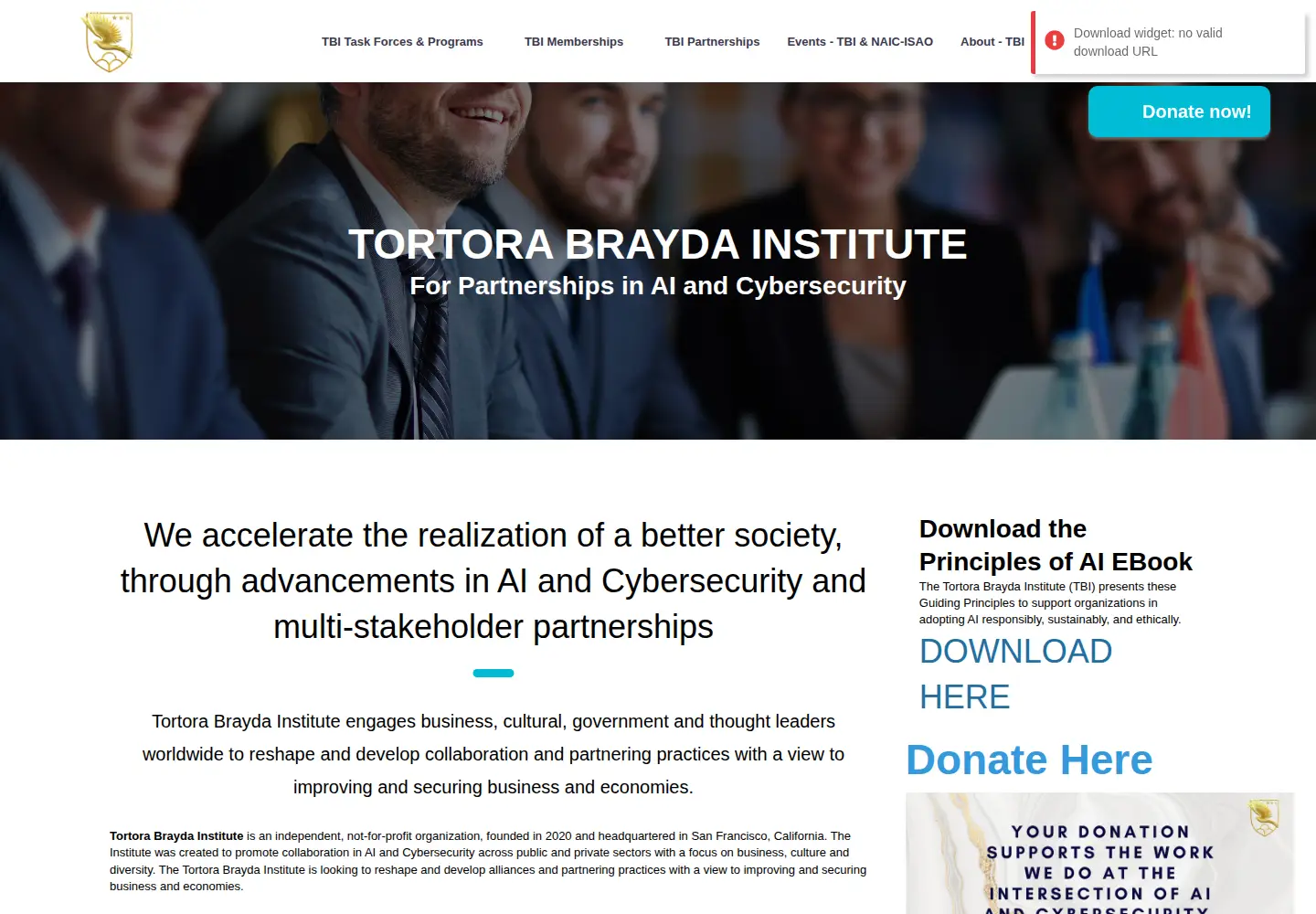 Captured homepage of tortorabrayda.org in the current scan