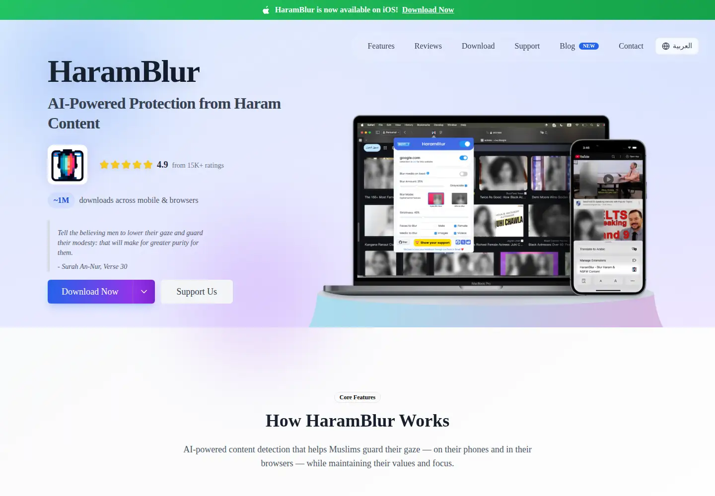 Screenshot of haramblur.com