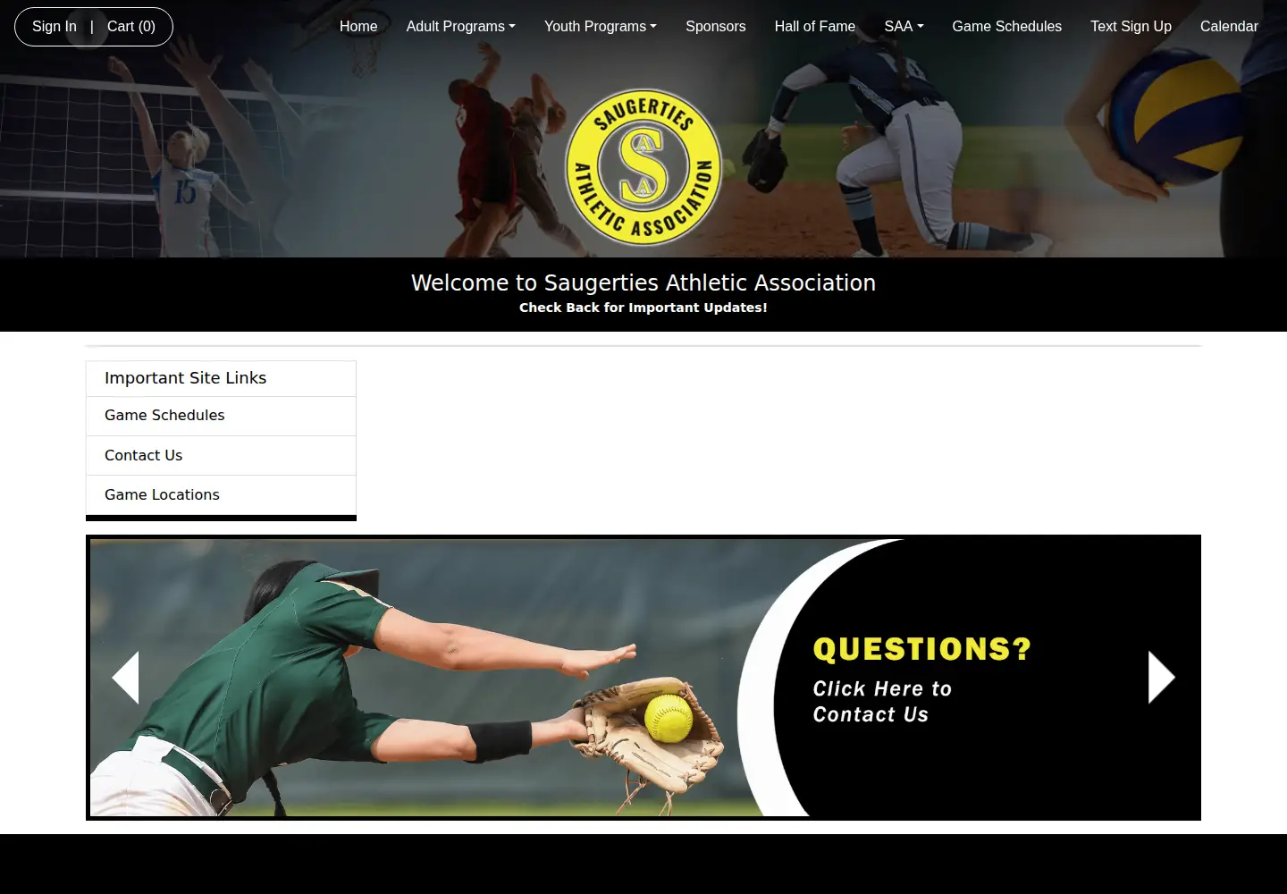 Screenshot of saaleagues.com