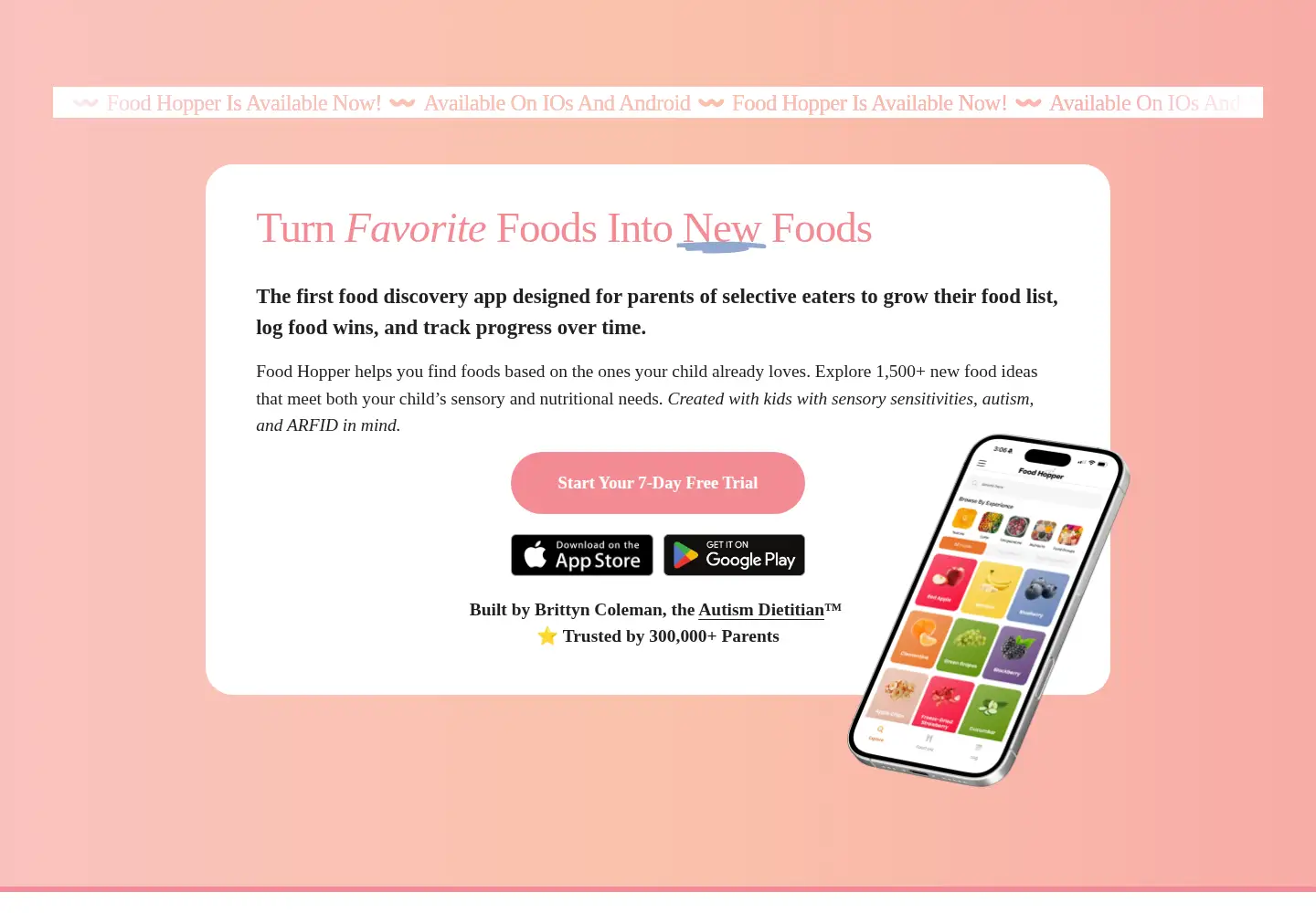 Captured homepage of foodhopper.co in the current scan