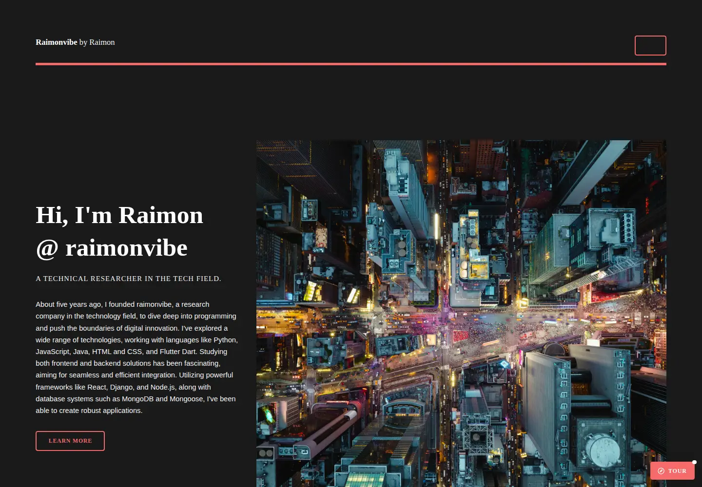 Screenshot of raimonvibe.eu