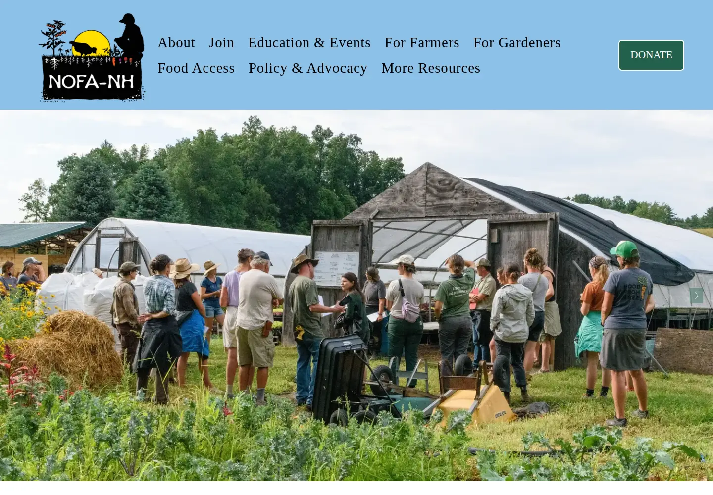 Screenshot of nofanh.org